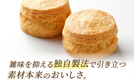 【6回定期便】プレーン スコーン セット 12個 スコーンクリーム付き 多治見市/famfam デザート 焼き菓子 [TAK015]