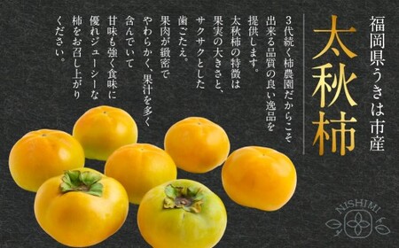 【先行予約】柿 太秋柿 特選 約3kg 7玉～8玉 西見柿農園