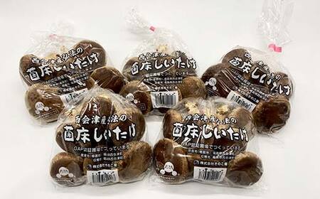 きのこ屋の肉厚なところを選んだ生しいたけ 約1kg F4D-0702
