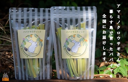 ～徳之島産乾燥青パパイヤの茎～うさぎのおやつ（2袋）( ペットフード うさぎ ウサギ パパイヤ おやつ ペット 徳之島 鹿児島 安心 安全 乾燥 世界自然遺産 アマミノクロウサギ レターパックライト ポスト投函 受取り簡単 )