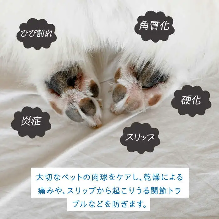 【天然素材100％・肉球用】にほんみつばちのミツロウ＆オーガニックオイルの マールン パウ バーム お試し用 糸島市 / kibitoa [AIN002]