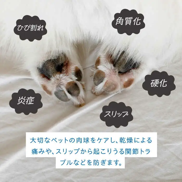 【全6回定期便】【天然素材100％・ペット用】にほんみつばちのミツロウ＆オーガニックオイルの マールン パウ バーム 糸島市 / kibitoa [AIN003]