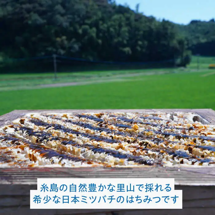 【希少】にほんみつばちの 生 ハチミツ 110g×1本 糸島市 / kibitoa [AIN004]