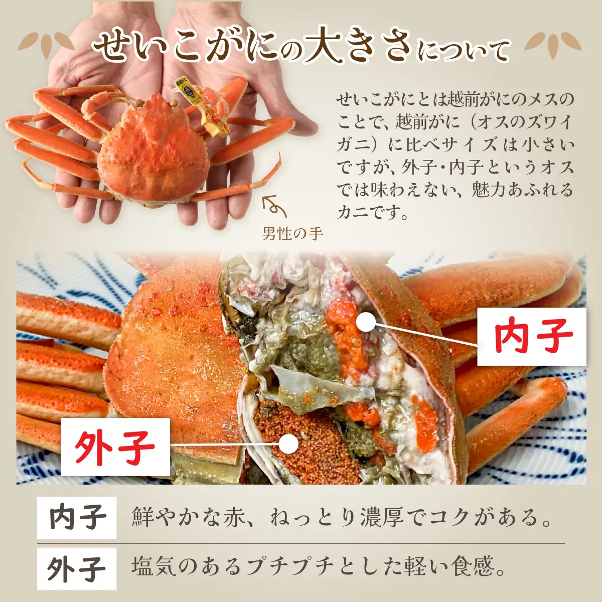 Ａ　越前がに甲羅盛（105g前後 × 1個）＋ 越前産せいこがに甲羅盛（70g前後 × 1個）合計2個 [C-096005_01] 
