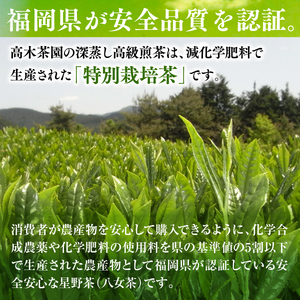 お茶 煎茶 深蒸し 高級煎茶 100g 2袋 お茶