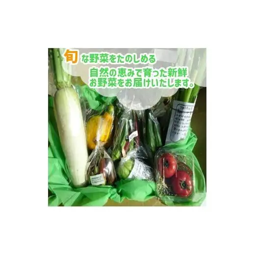 【早期予約】 野菜定期便10ヶ月