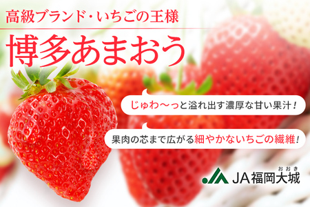 【定期便】博多あまおう 福岡県JAグループのブランドあまおういちご 1080g（約270g×4パック）×2回 ※2026年2月・3月お届け アフター保証 いちご 博多あまおう JAグループ  おすすめ 苺 大木町 JA福岡大城 不揃い フルーツ 果物 AG013