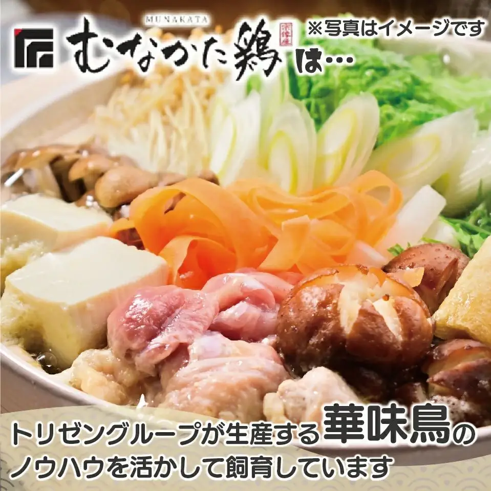 宗像産ブランド鶏【むなかた鶏】食べ比べセット（モモ肉、ムネ肉、手羽先各2kg）（平飼い）【JAほたるの里】_HA1424