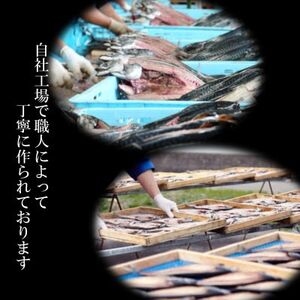 南知多町・美浜町共通返礼品 魚太郎名物 とろさば 入 自家製 ひもの 5種 おまかせセット 魚魚魚
