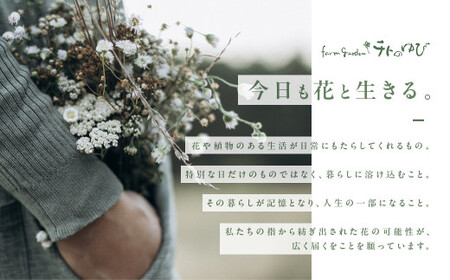 【チトのゆび】地元の花屋さんお薦めの多肉植物 Bセット 多肉植物 寄せ植え グリーン おまかせ 鳥取県 倉吉市