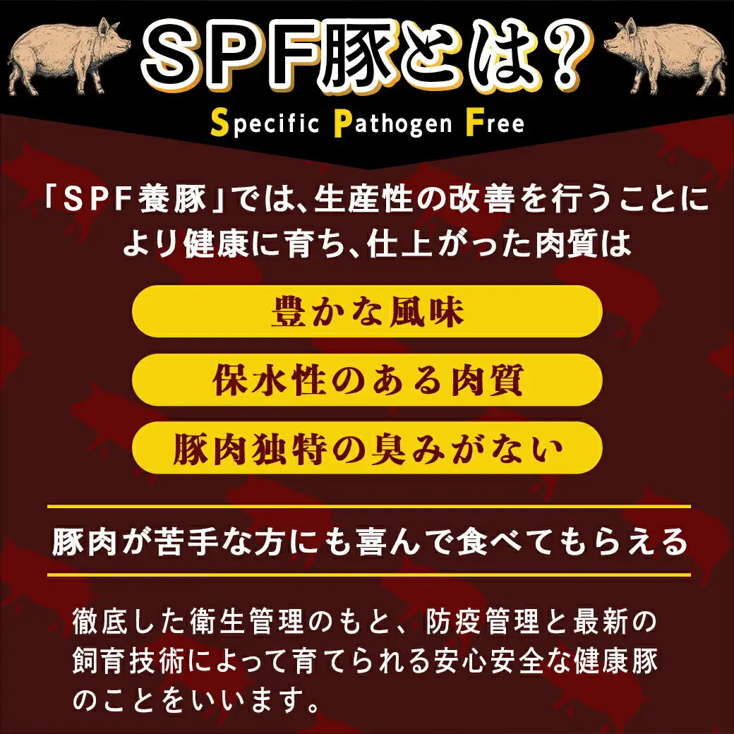 「宮崎SPF豚 」日替わりバラエティ3.2kgセット〔16-K901〕_(都城市) 宮崎県産豚 小間切れ ロース 肩ローススライス バラ ステーキ 焼肉 しゃぶしゃぶ 真空