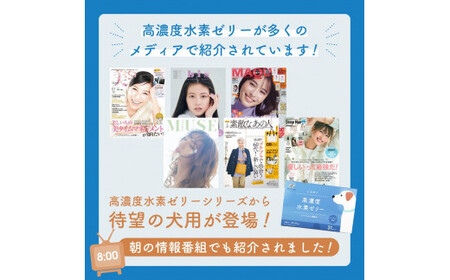 高濃度 水素 ゼリー 犬用 31本 入り ご飯 ごはん おやつ トッピング 持ち運び 携帯 散歩 ペット 犬