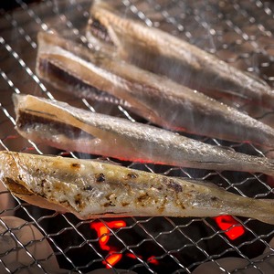 一夜干しこまい 1.4kg (1箱700g×2入り) 釧路高木商店 氷下魚 コマイ 干物 おつまみ 居酒屋 肴 魚介 魚 F4F-4646