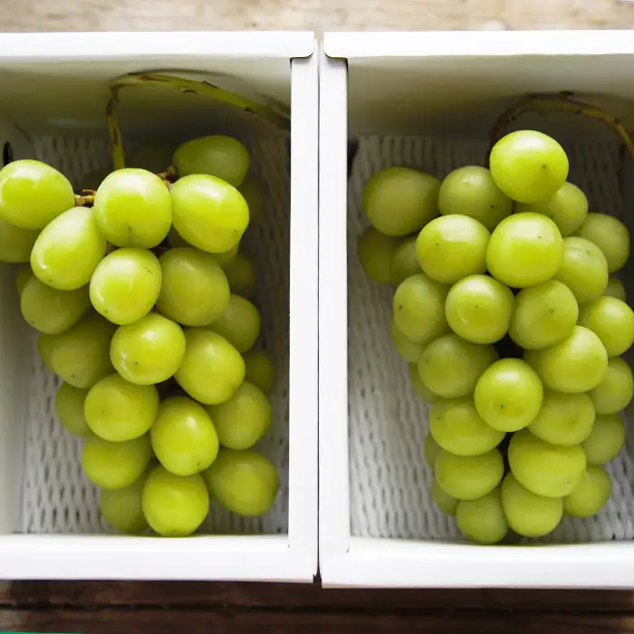 おすそ分けにおすすめ！シャインマスカット 秀品 約1.2kg(約600g以上1房×2箱) 【令和8年産先行予約】FS23-766 くだもの 果物 フルーツ 山形 山形県 山形市 2026年産