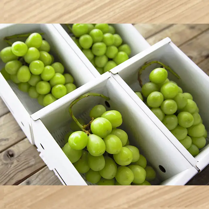 おすそ分けにおすすめ！シャインマスカット 秀品 約2.4kg(約600g1房×4箱) 【令和8年産先行予約】FS23-770 くだもの 果物 フルーツ 山形 山形県 山形市 2026年産