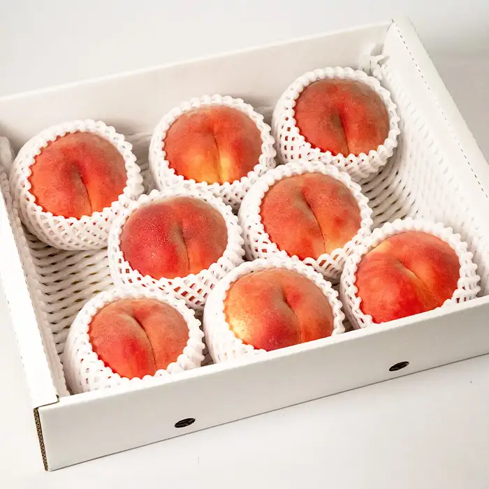 [ご家庭用]やまがたの桃 (白桃) 品種お任せ「柔らかくなる桃」8月 優品 約3kg(6～12玉程度) 【令和8年産先行予約】FS23-811 くだもの 果物 フルーツ 山形 山形県 山形市 2026年産