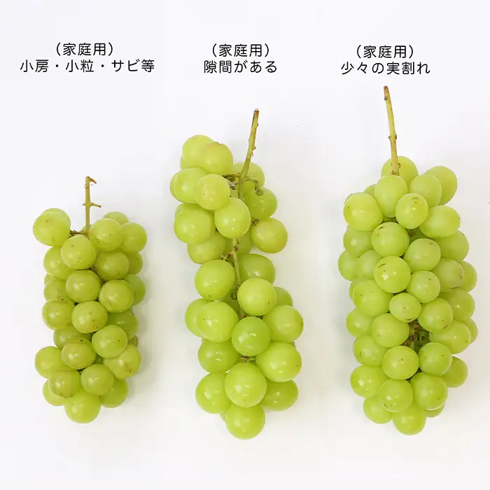 [訳あり]やまがたのぶどう シャインマスカット 10月 優品 約1kg(1～3房程度) 【令和8年産先行予約】FS23-819 くだもの 果物 フルーツ 山形 山形県 山形市 2026年産