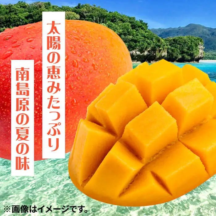 【2027年7月-発送】南島原産完熟マンゴー 2玉 [SCH064] マンゴー