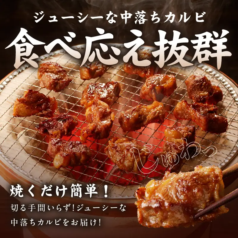 焼き肉専門店 自家製タレ漬け 中落ちカルビ 総量1kg 小分け 250g×4