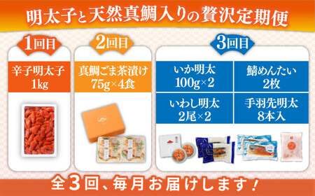 【全3回定期便】糸島明太子と天然真鯛を味わいつくす定期便 糸島市 / やますえ 鯛茶 明太 [AKA089]