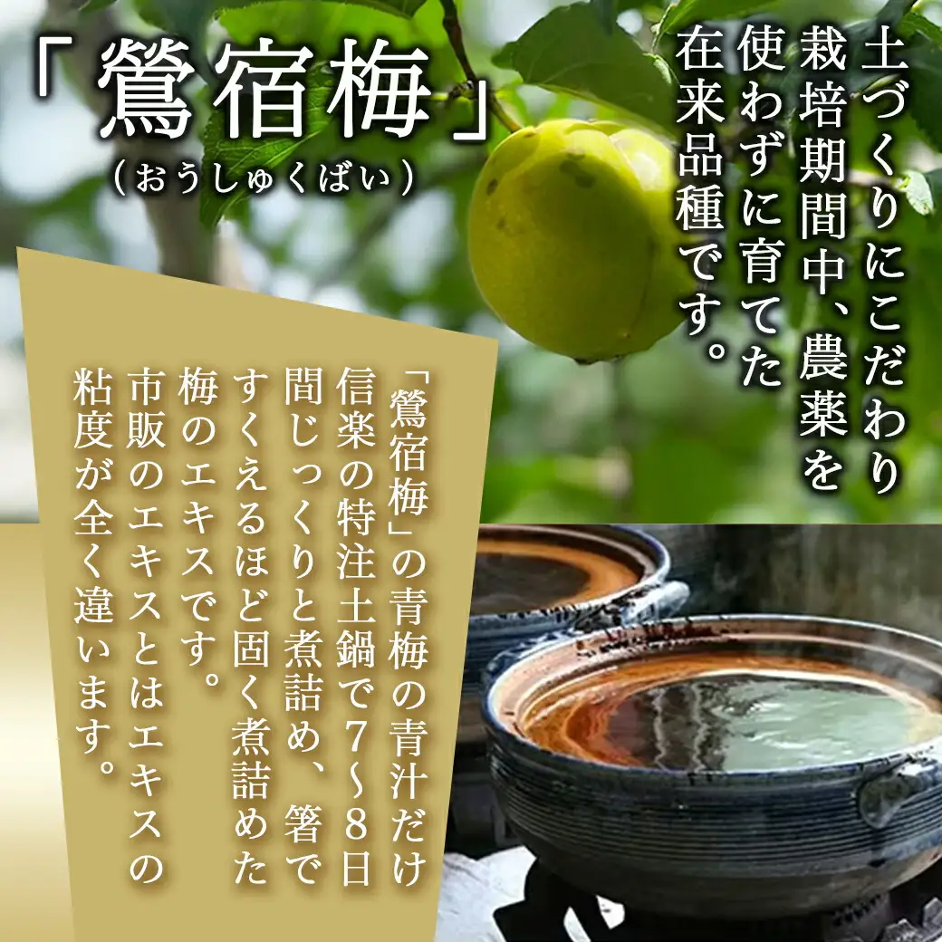 徳重おばあちゃんが受け継いだ梅肉エキス30g〔AA-49-002-30g〕_(都城市) 鶯宿梅 おうしゅくばい 梅肉エキス(30g×1本) ミネラル成分たっぷり 栽培期間中農薬不使用の梅 梅エキス うめエキス 有限会社 徳重紅梅園