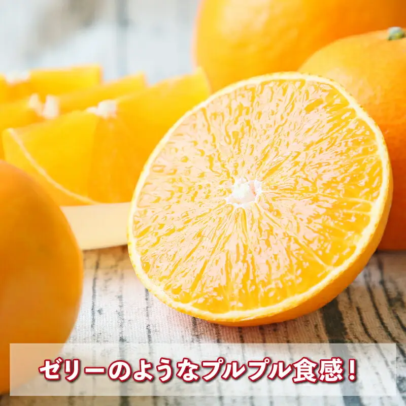 【紅まどんなと同品種】 愛果28号 まどんな 贈答用 矢野青果 【B015-171043】