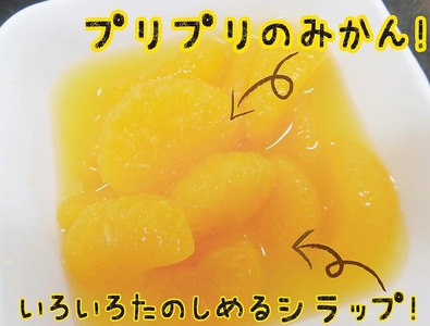 【2025年3月中旬より発送予定】紀州のみかん缶詰（みかん果汁入りシラップ）435g×12缶セット◇｜柑橘 かんきつ フルーツ 果物 蜜柑 缶詰 みかん 常温保存 防災 非常食 キャンプ アウトドア 美浜町