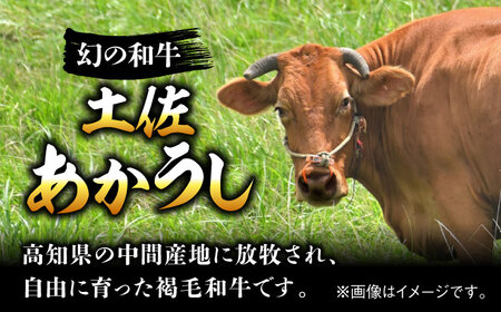 熟成肉 土佐あかうし 特選赤身 サイコロステーキ 約500g / 牛肉ステーキ 牛肉ステーキ 牛肉ステーキ 牛肉ステーキ 牛肉ステーキ  [ATAY012]