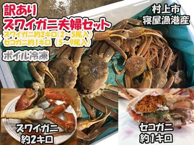 【11月～2月発送】【訳あり】新潟県村上市寝屋漁港産　本ズワイガニ夫婦セット 約3kg（雄 約2kg＋セコガニ 約1kg） 1079003