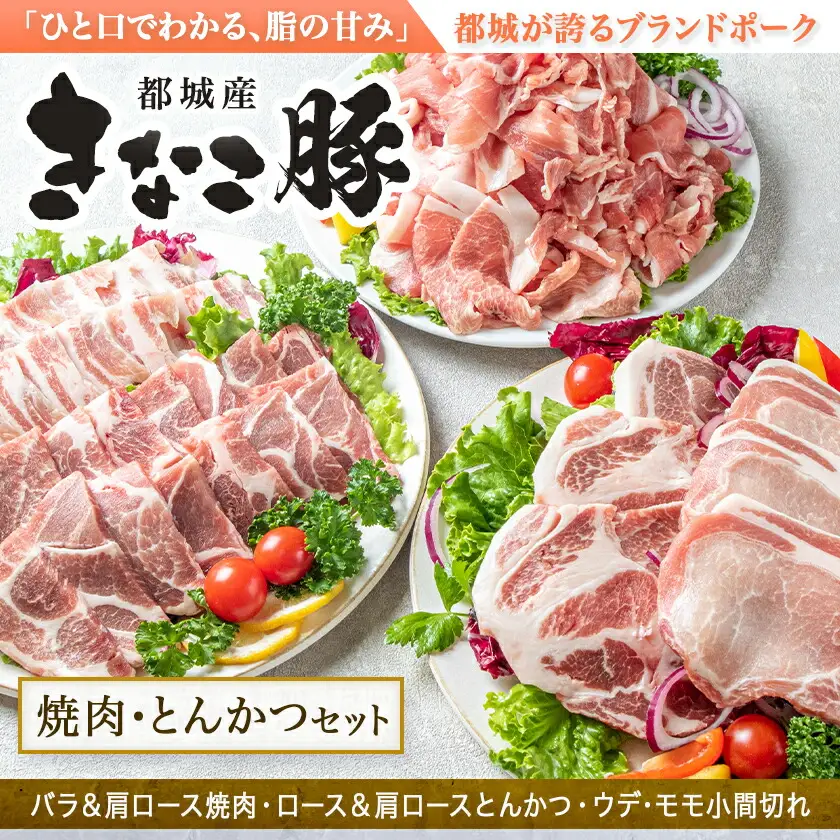 「きなこ豚」焼肉・とんかつセット 計2.1kg〔18-12-009〕_(都城市) ブランド豚 豚カツ用 トンカツ用(ロース / 肩ロース) 焼き肉用 (豚バラ / 豚肩ロース) 切り落とし 小間切れ