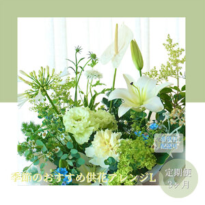 《3ヵ月定期便》生花アレンジ 供花L 