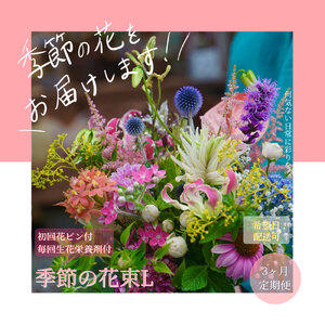 《3ヵ月定期便》生花花束 ブーケ 初回花瓶付L 延命剤付き