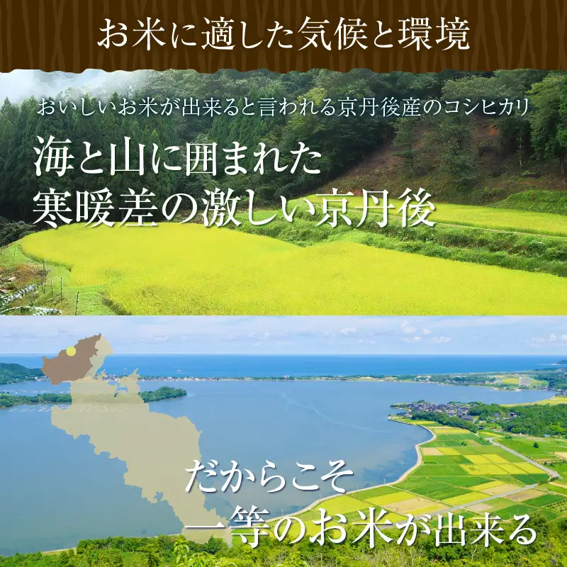 令和7年産 美白精米 丹後こしひかり 3kg 1等米