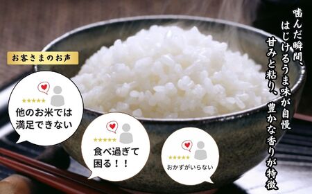 令和6年産新米 新潟県産 コシヒカリ「いちのまい」2㎏ 米・食味鑑定士お墨付き 令和6年産 精米したてを発送 こしひかり 糸魚川 白米 あぐりいといがわ 株式会社糸魚川農業興舎