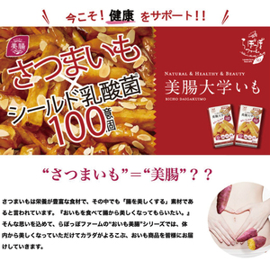 【2025年12月中旬より順次発送】らぽっぽファーム【工場直送】美腸大学いも 2kg｜さつまいも 大学芋 芋 サツマイモ だいがくいも スイーツ お菓子 冷凍 美腸大学芋 人気 送料無料 茨城県 行方市 らぽっぽファーム(CQ-25-1)