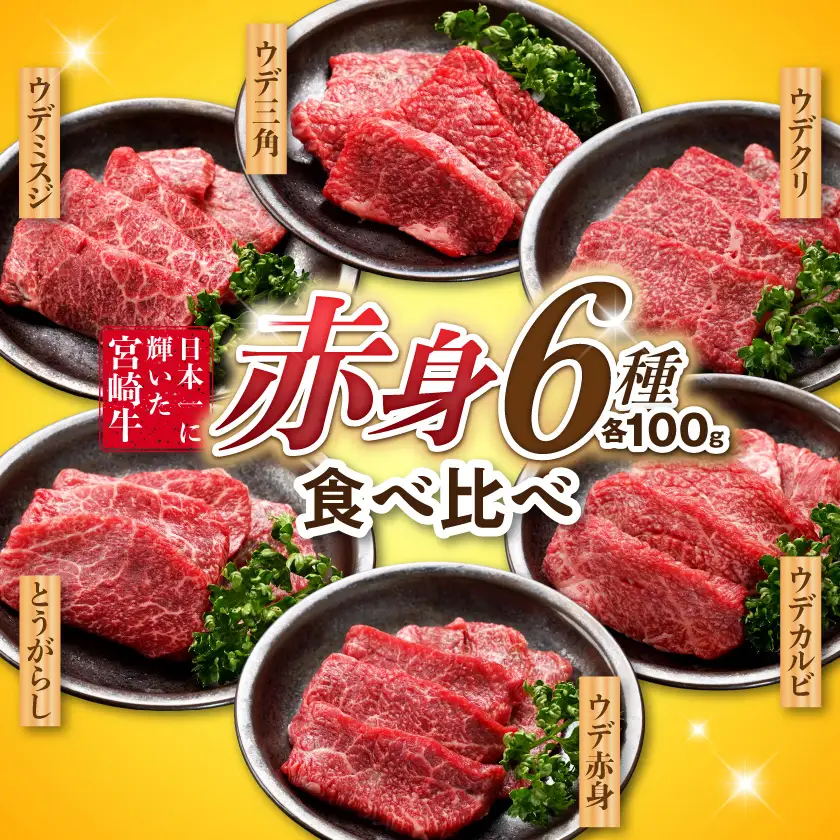 宮崎牛赤身6種600g〔16-2601〕_(都城市) 牛肉 ウデミスジ ウデ三角 ウデクリ とうがらし ウデ赤身 ウデカルビ 約100g 計600g 6種類セット赤身