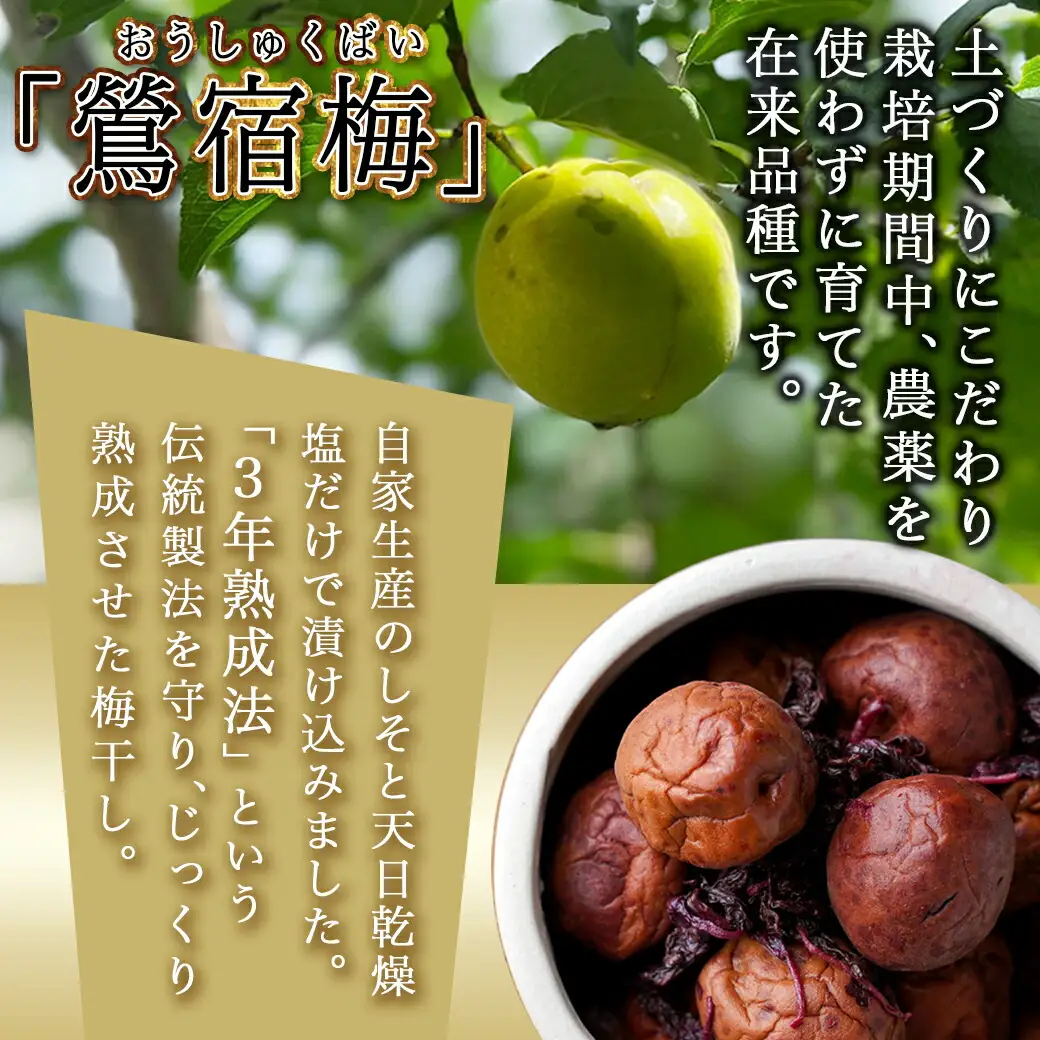 徳重おばあちゃんがつくった昔ながらの3年熟成梅干600g〔MJ-49-001-600g〕_(都城市) あったかいご飯やお茶漬け・お料理の調味料に 鶯宿梅(おうしゅくばい) 梅ぼし 伝統農法 肉厚 徳重紅梅園