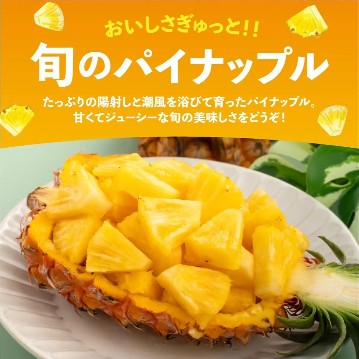 【定期便】石垣島産 パイナップル 3回 定期 3種 計6玉
