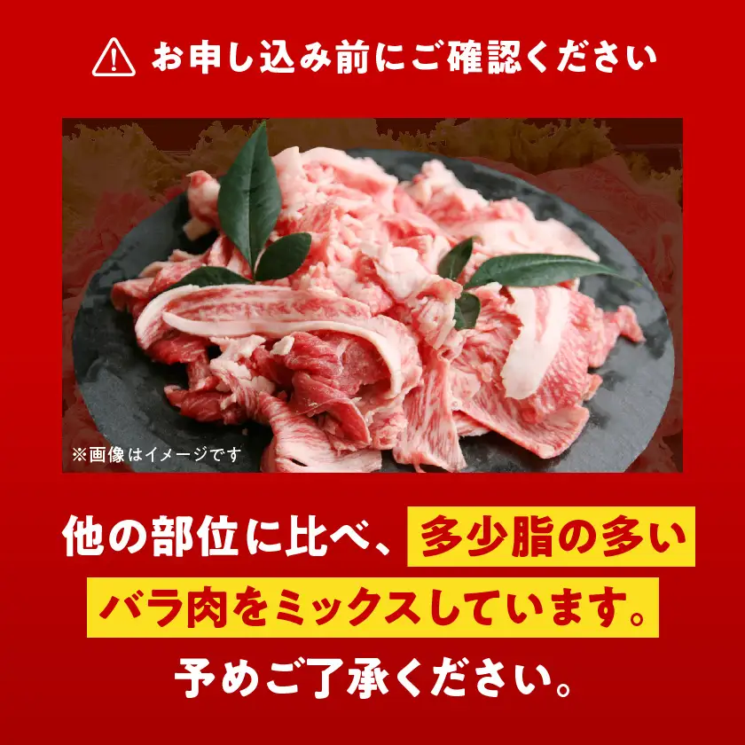 宮崎牛切り落とし1kg〔18-6401〕_(都城市) 500g×2パック 計1キロ 冷凍保存可 牛モモ肉 牛バラ肉 ミックス 肉じゃが カレー 炒め物 すき焼きなどに 国産黒毛和牛