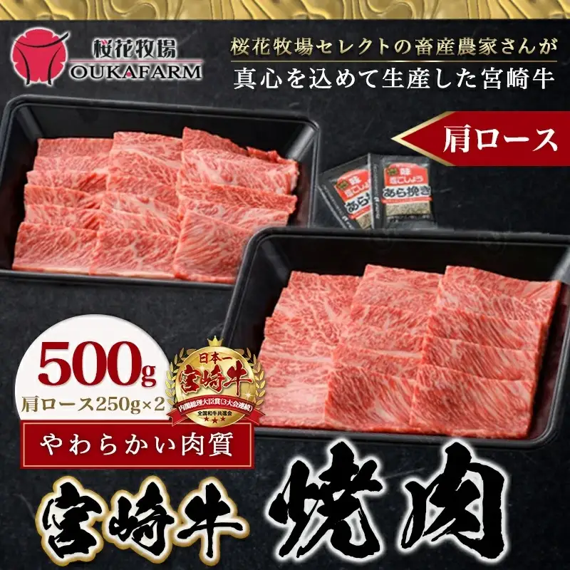 宮崎牛肩ロース焼肉500g〔17-6504〕_(都城市) 牛肉 牛肩ロース焼肉用 (250g×2パック) 計500グラム 粗挽き塩コショウ (2袋) ギフト 贈答用
