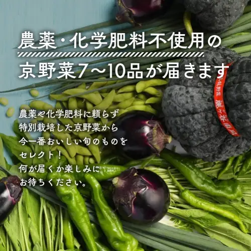 【4回定期便】＜アスカ有機農園＞旬の京野菜セットＳ 野菜