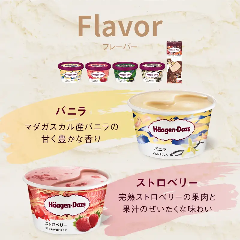 ハーゲンダッツ ミニカップ＆バーセット アイス スイーツ デザート_H0016-171