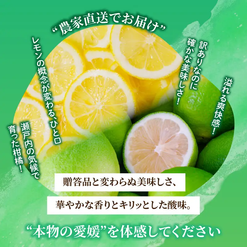 【レモン】 【2027年2月上旬から発送】 家庭用 イエローレモン 約2.5kg 【RNK0112_y】