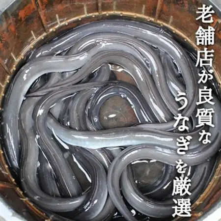 鰻の老舗　千葉県いすみ市藤井のうなぎ白焼き(5匹)_うなぎ 鰻 白焼き 老舗 藤井_【配送不可地域：離島・沖縄県】【1391284】