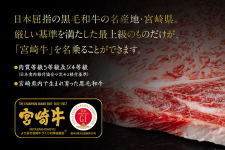 6回 定期便 宮崎牛 特上 ロース ステーキ 300g×2枚×6回 合計3.6kg 真空包装