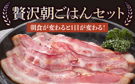 長崎浪漫工房 九州産豚肉使用ハム・ソーセージ詰合せ 計4種 308g  [OCQ005] / ハムセット ハム食べ比べ おつまみ ロースハム ベーコン 熟成ハム ビアシンケン 豚肉 熟成肉 詰め合わせ セット 贈答 ギフト ウインナー ソーセージ