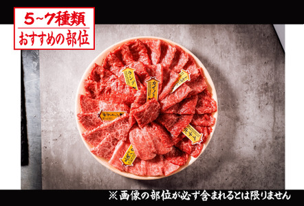 【自社農場和牛】富永和牛おうちで焼肉セット（国産 牛肉 和牛 赤身 霜降り 焼肉 BBQ 限定） 焼肉 和牛焼肉 牛肉焼肉 焼肉セット 国産焼肉