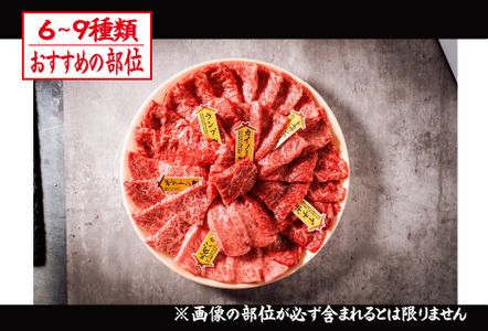 【自社農場和牛】富永和牛おうちで焼肉ボリュームセット（国産 牛肉 和牛 赤身 霜降り 焼肉 BBQ 限定） 焼肉 和牛焼肉 牛肉焼肉 焼肉セット 国産焼肉