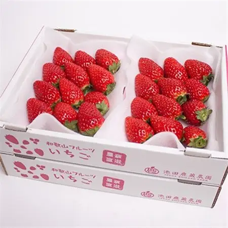＜1月より発送＞朝摘み完熟まりひめ約1.2kg(300g前後×4P)【和歌山ブランド苺】【いちご】【配送不可地域：離島・北海道・沖縄県・東北・関東・九州】【1148490】