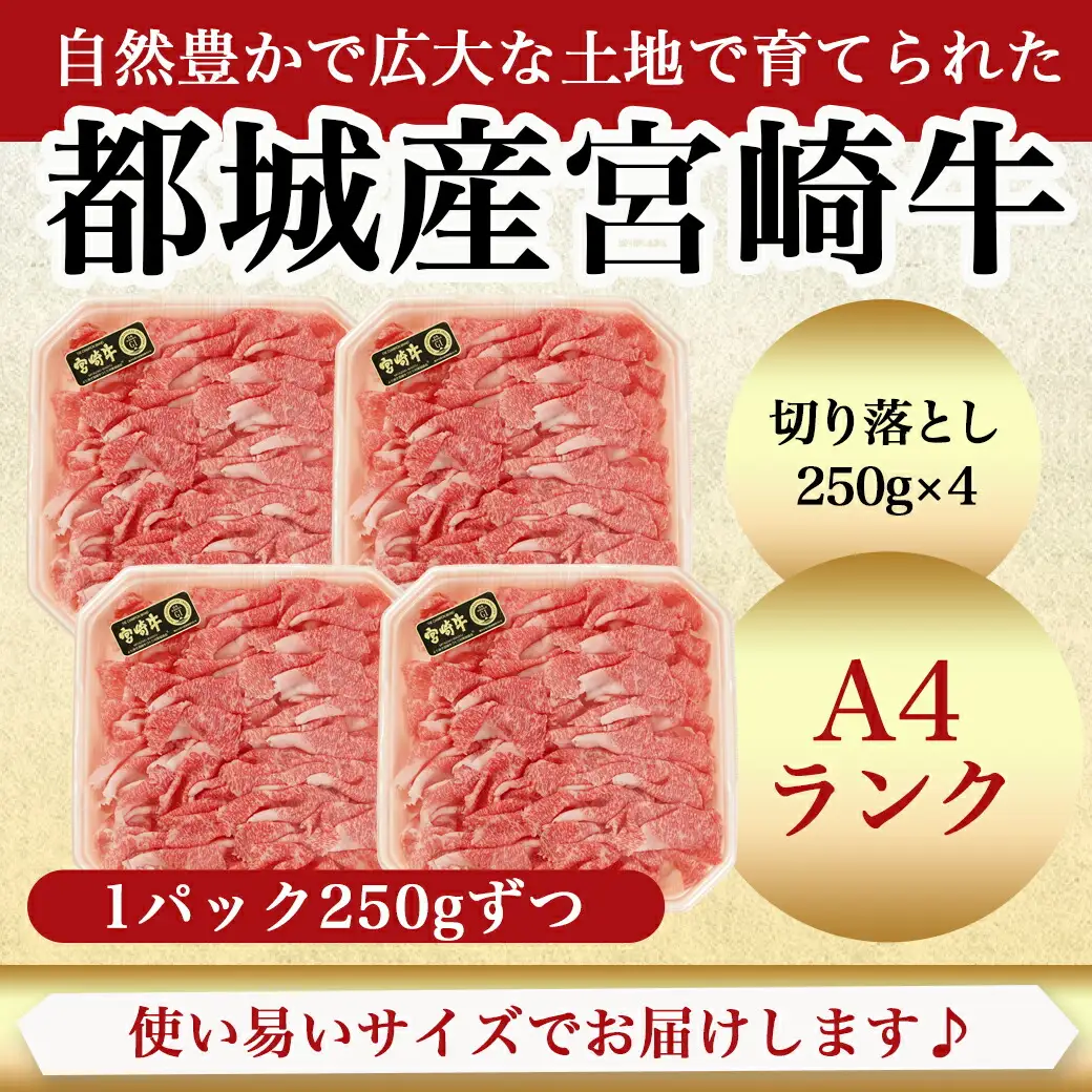 宮崎牛切り落とし1kg(250g×4パック)〔AC-5401〕_(都城市) 牛肉 国産黒毛和牛 都城産宮崎牛 (A4ランク) ４等級 切落し (250g×4) 合計1キロ すき焼き 牛鍋 炒めもの 牛丼 四等級